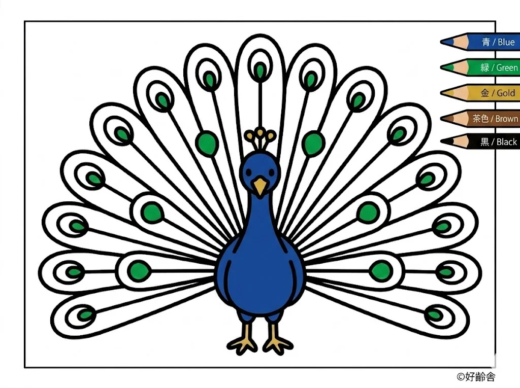 クジャクの塗り絵 完成見本（彩色の見本）