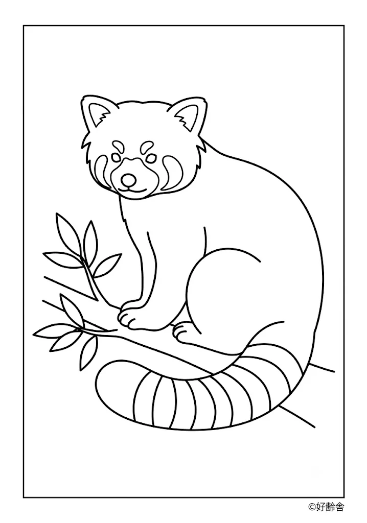 高齢者向け無料塗り絵：レッサーパンダ（初級・A4印刷用）