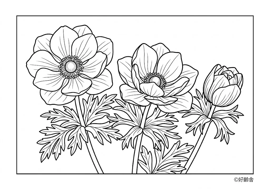 Printable Anemone coloring book coloring page for seniors