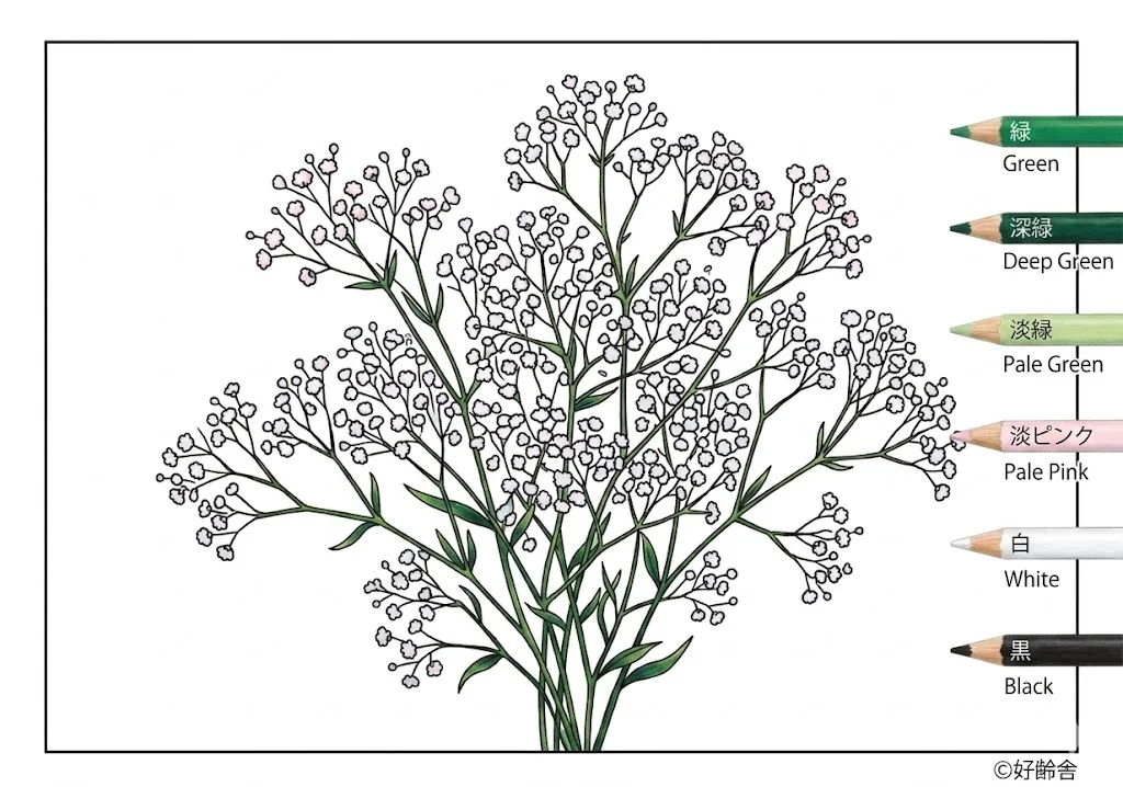 Colored Baby's Breath coloring book coloring page example
