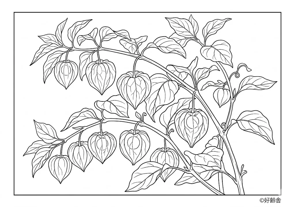 Printable Hoozuki coloring book coloring page for seniors