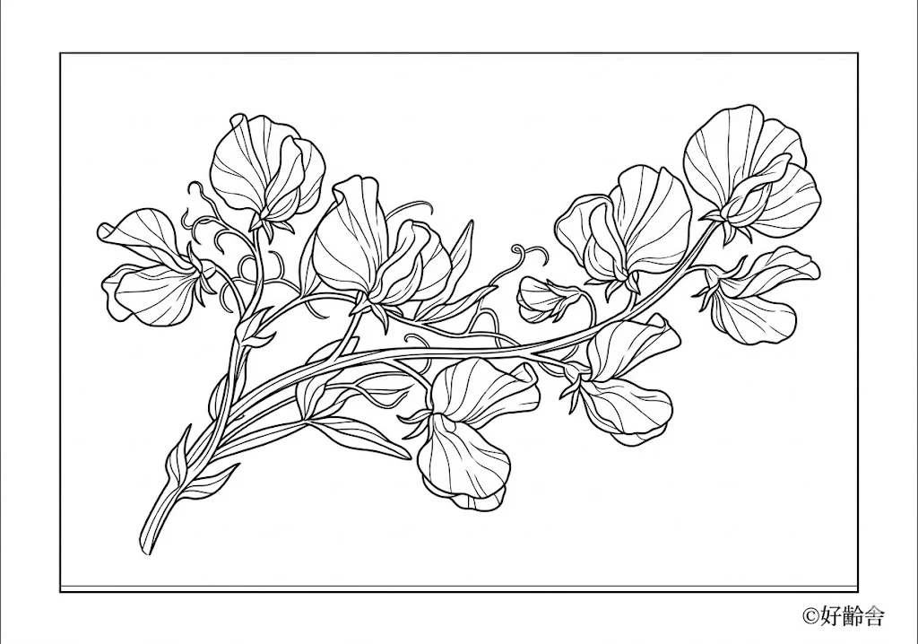 Printable Sweet pea coloring book coloring page for seniors
