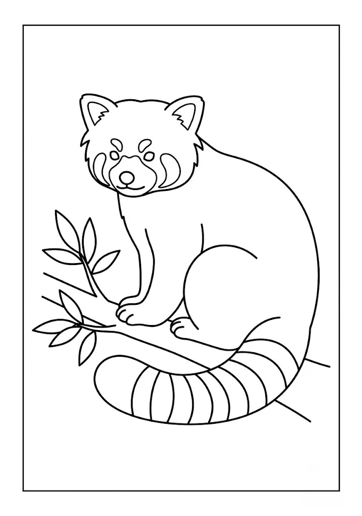 Red Panda