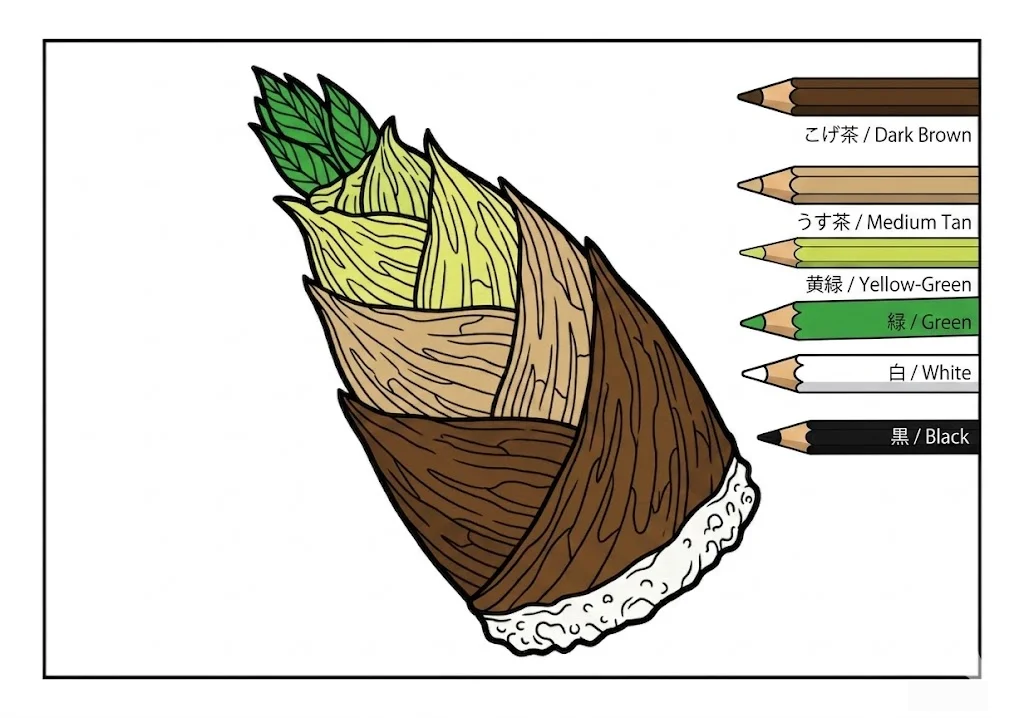 Colored Bamboo shoot coloring book coloring page example