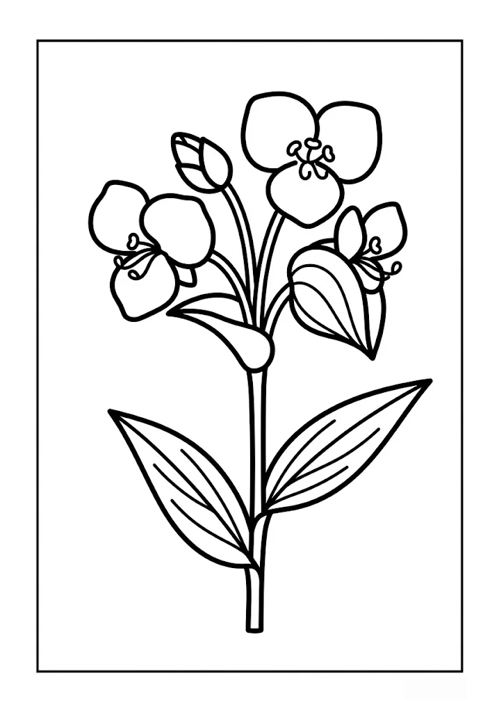 Printable Dayflower coloring book coloring page for seniors
