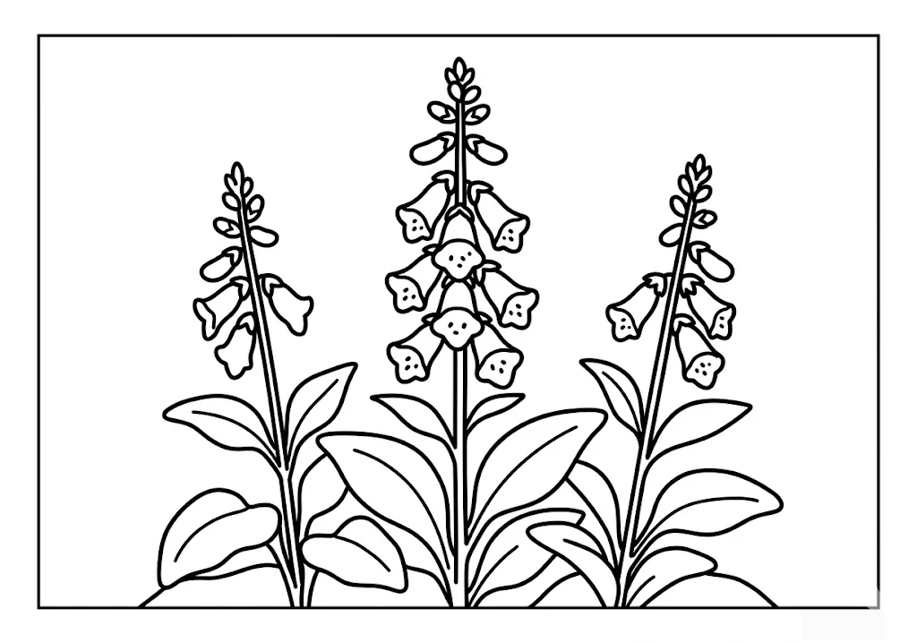 Printable Digitalis coloring book coloring page for seniors