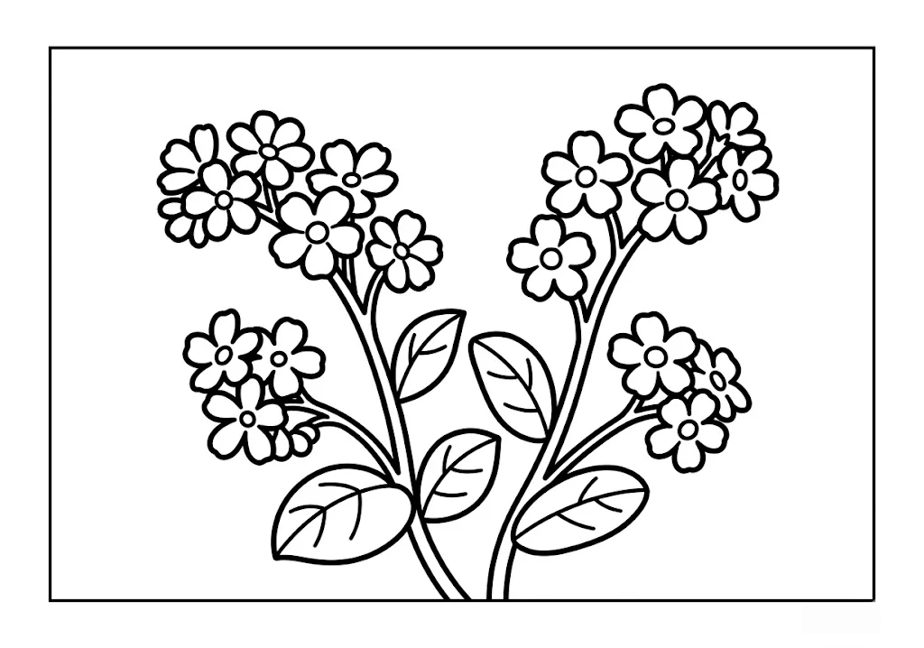 Printable Forget-me-not coloring book coloring page for seniors