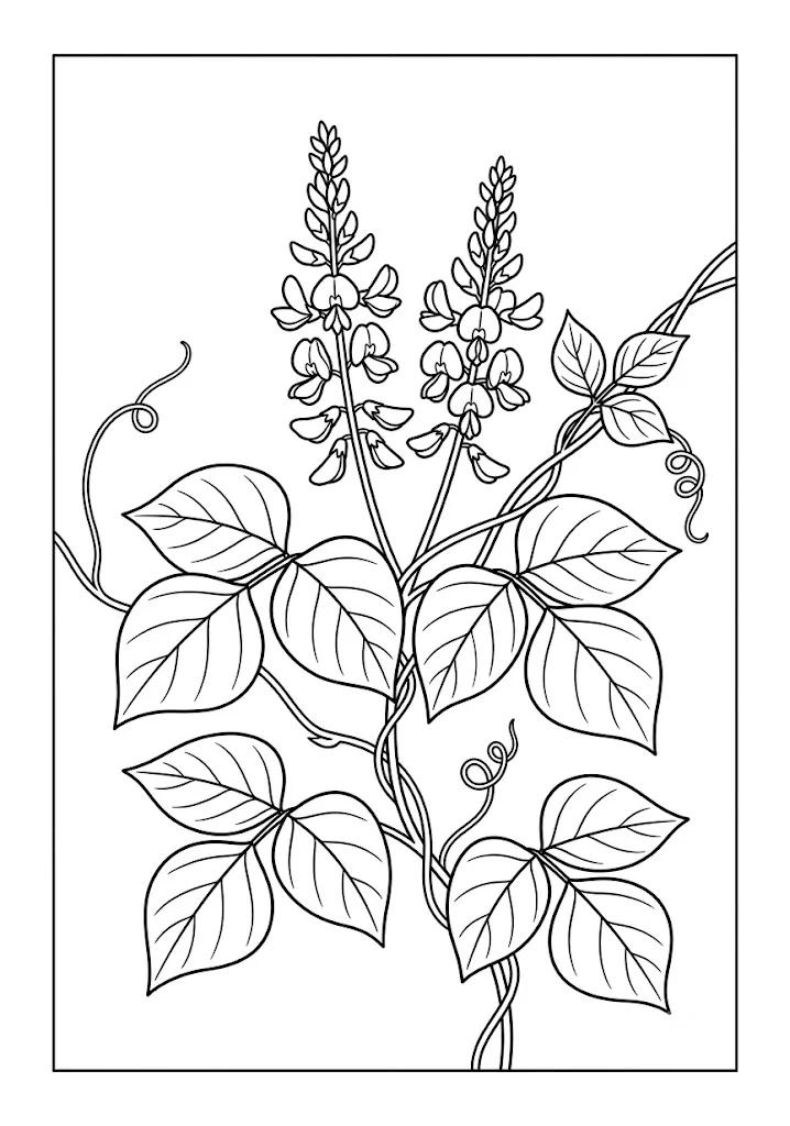 Printable Kudzu coloring book coloring page for seniors
