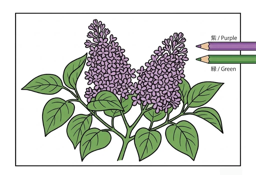 Colored Lilac coloring book coloring page example