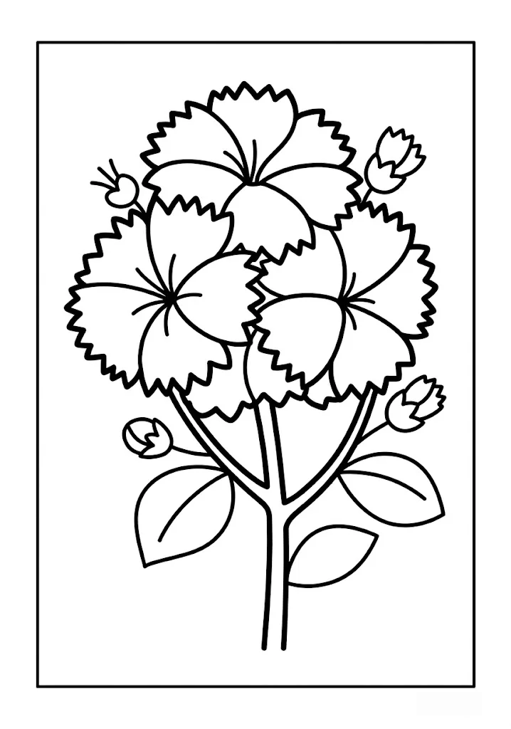 Printable Dianthus coloring book coloring page for seniors