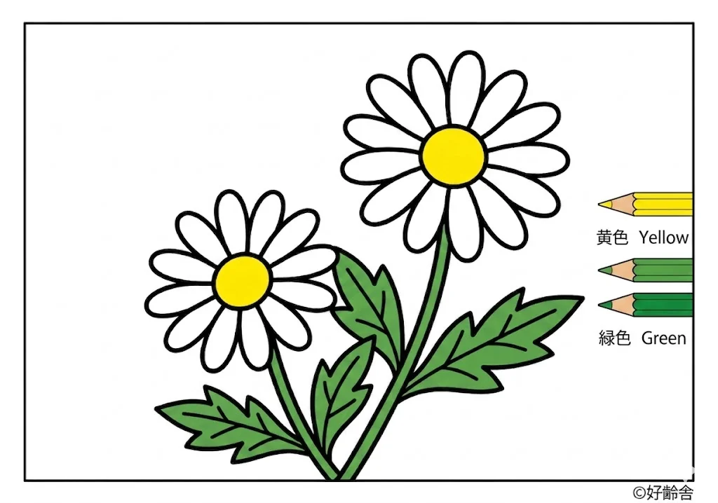 Marguerite colored