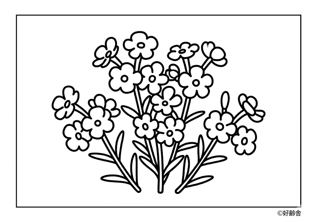 Moss Phlox