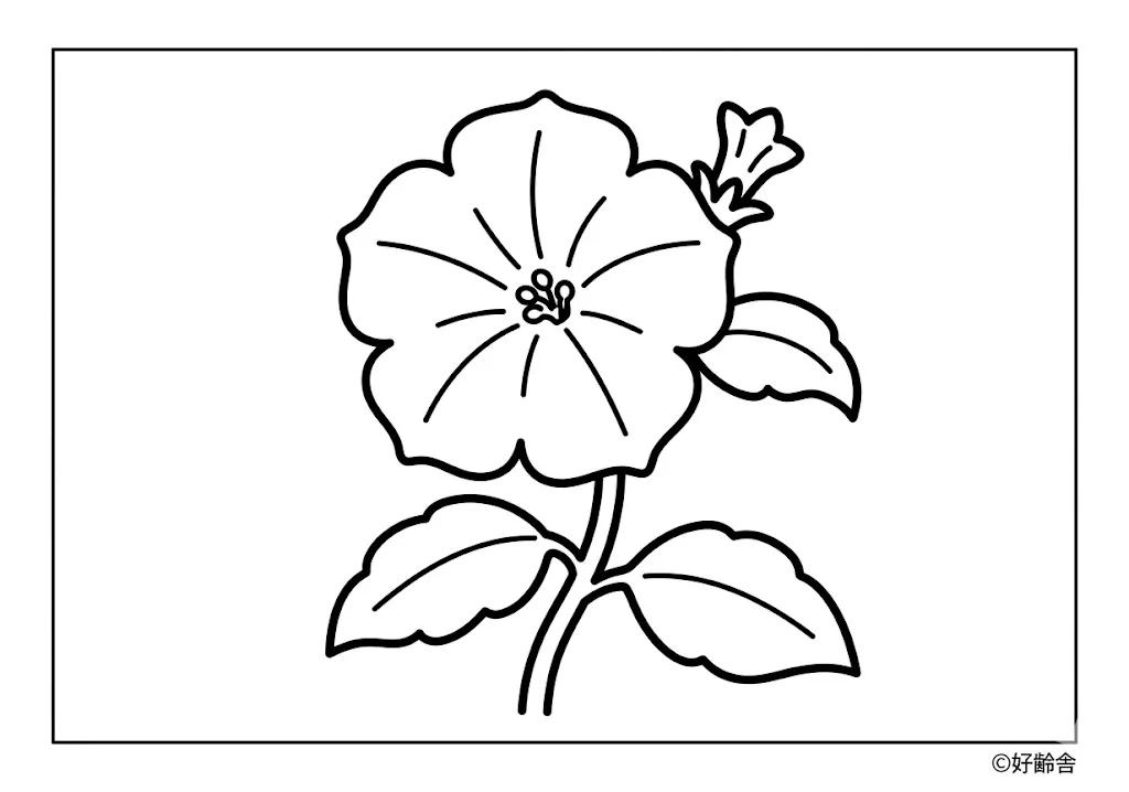 Petunia