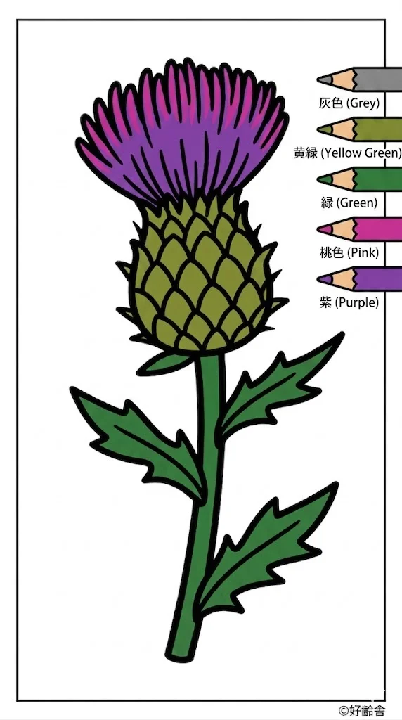 Thistle colored