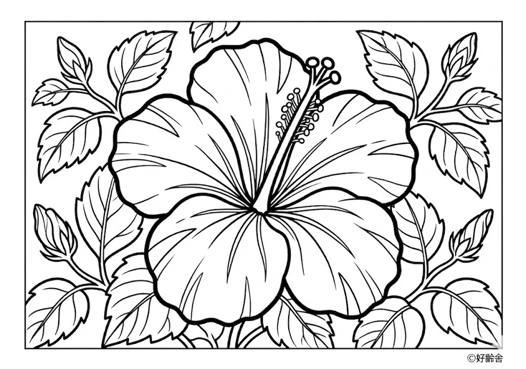Dibujo de Hibiscus para colorear para personas mayores
