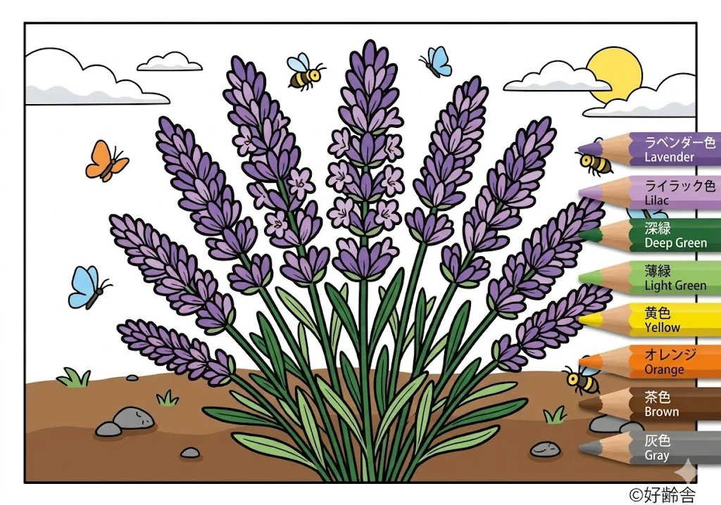 Ejemplo de Libro para colorear lavanda coloreado