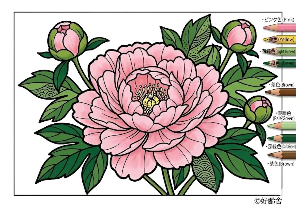 Ejemplo de Libro para colorear peonía coloreado