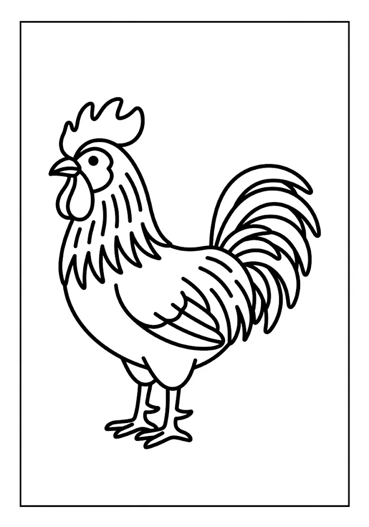 Coloriage pour seniors : Coq — à imprimer