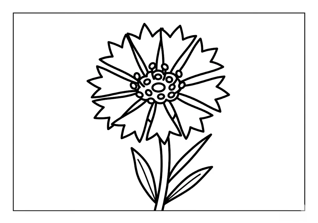 Livre de coloriage imprimable Bleuet pour seniors