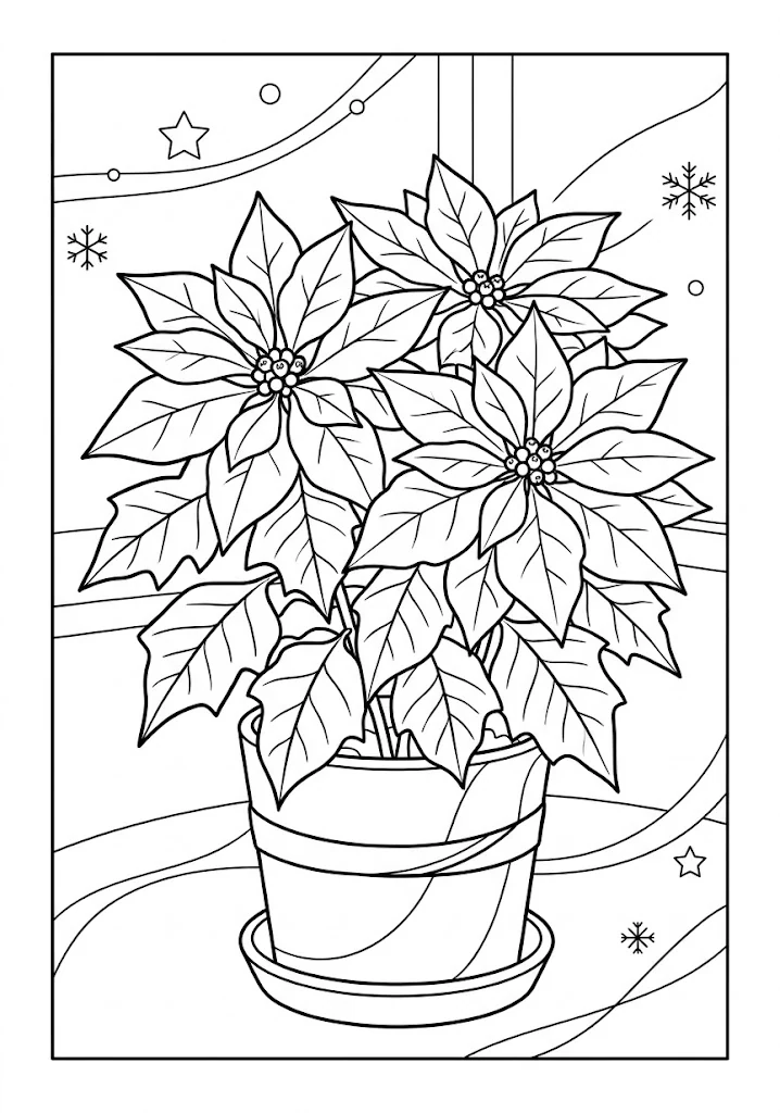 Poinsettia — Intermédiaire
