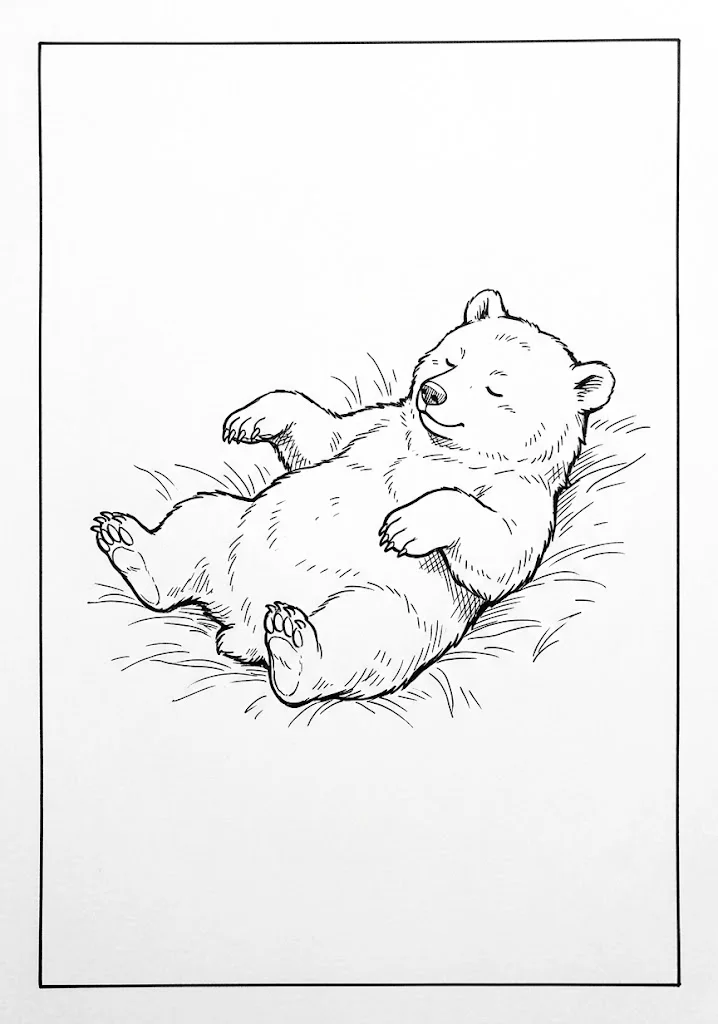 Ausmalbild für Senioren: Bär — zum Ausdrucken
