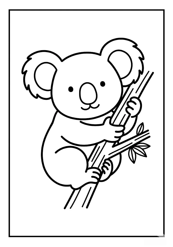 Koala