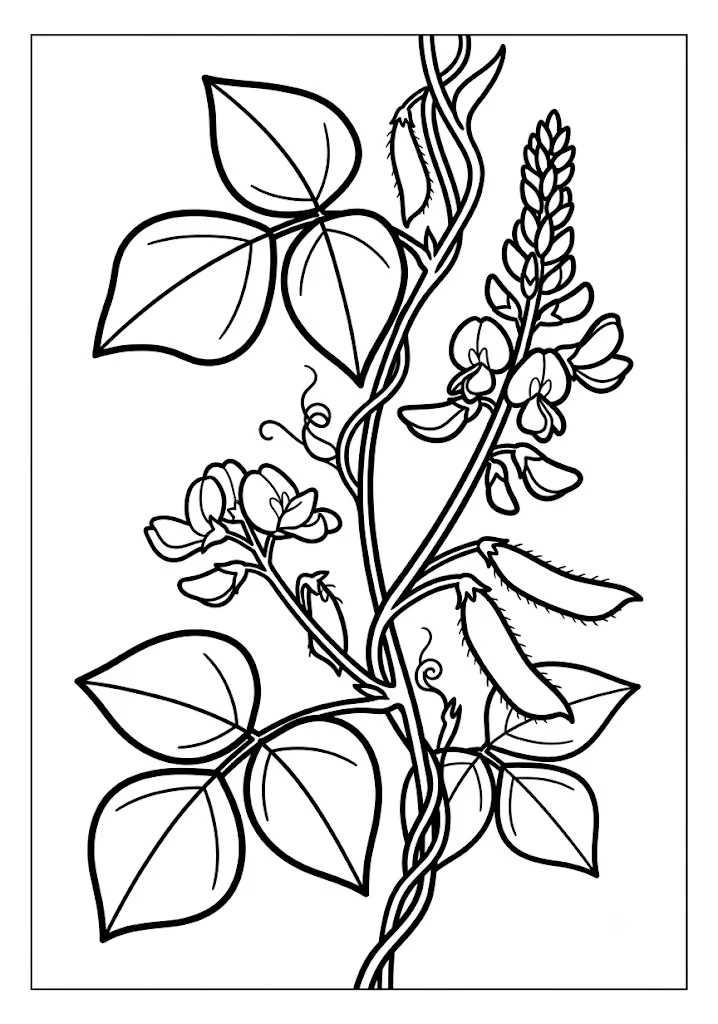 Kudzu — Ausmalbild zum Ausdrucken für Senioren