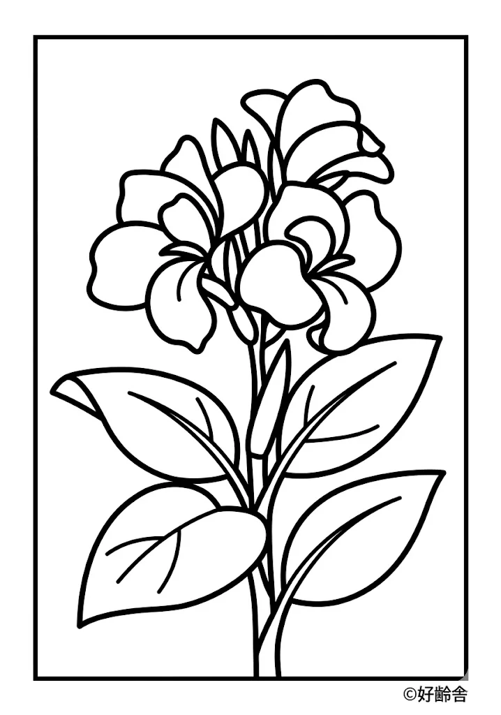 Blumenrohr