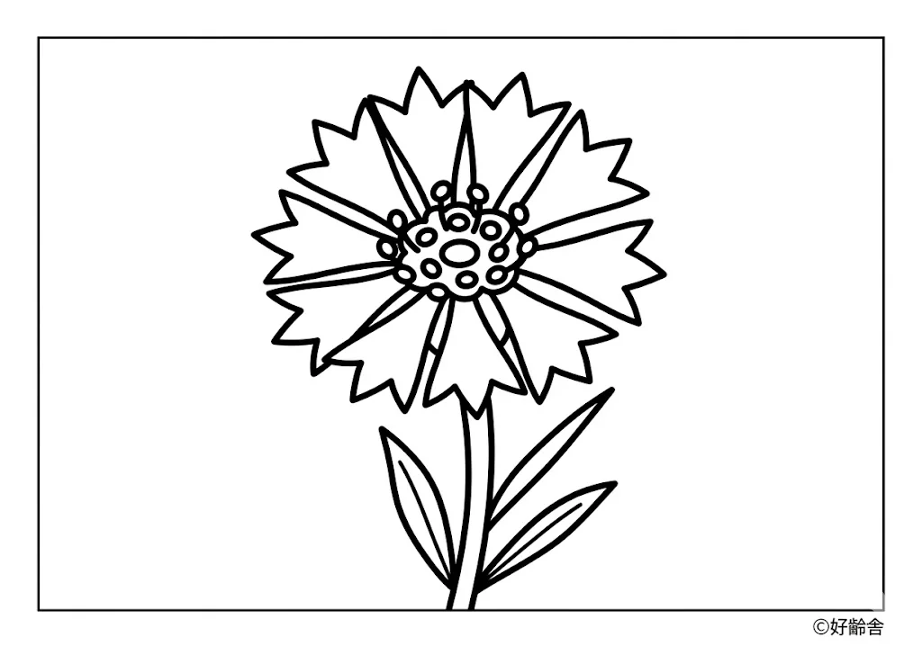 Kornblume