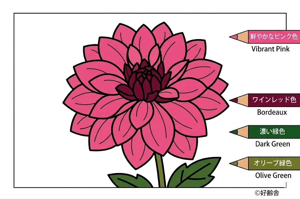 Dahlie — ausgemalt
