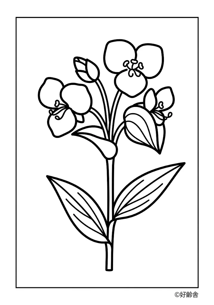 Tagblume
