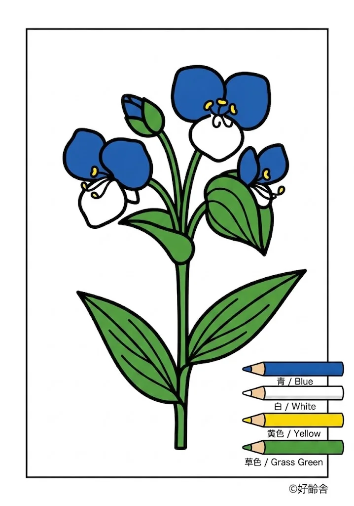 Tagblume — ausgemalt