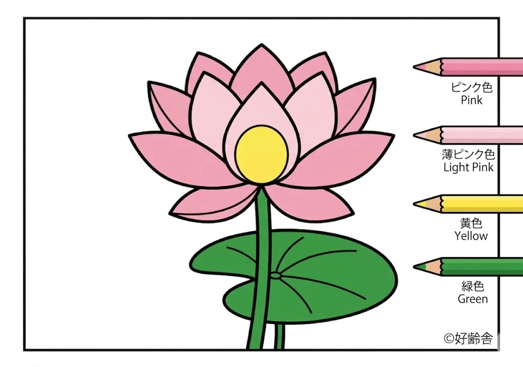 Lotusblume — ausgemalt