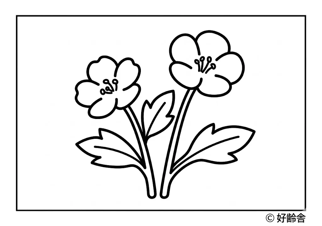 Hainblume