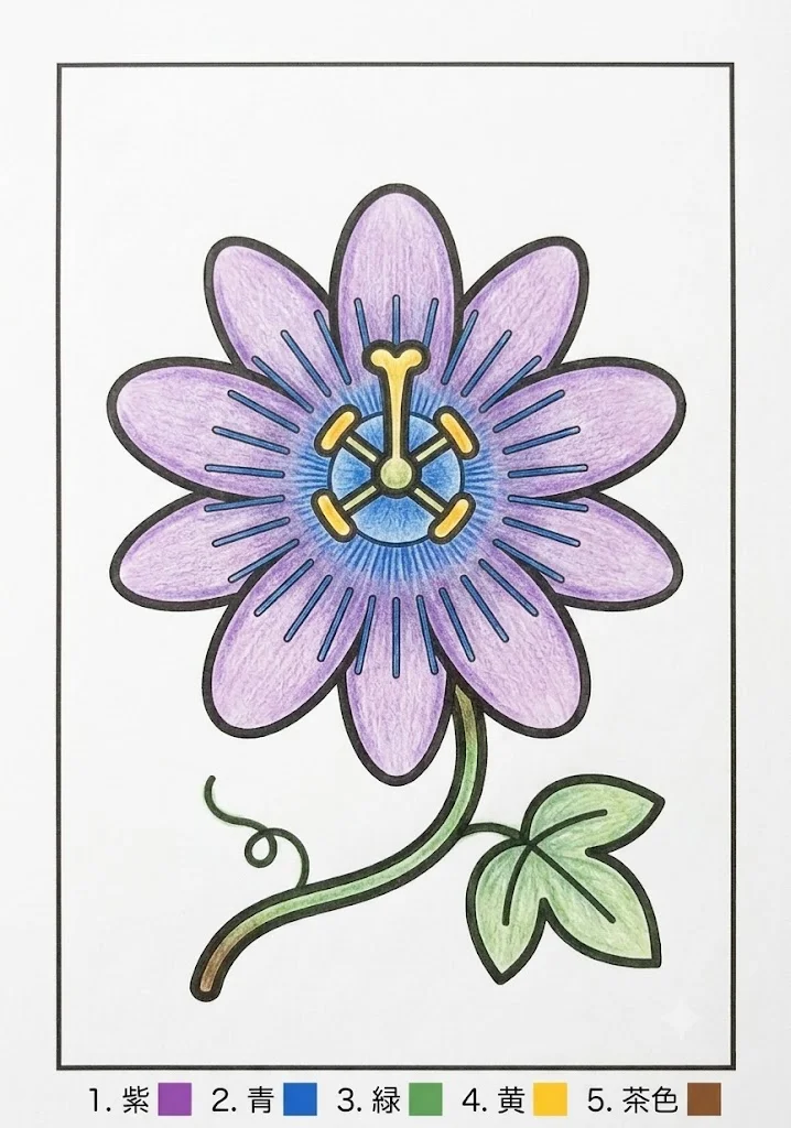 Passionsblume — ausgemalt