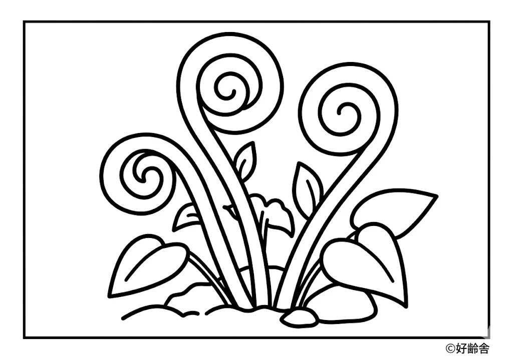 Königsfarn