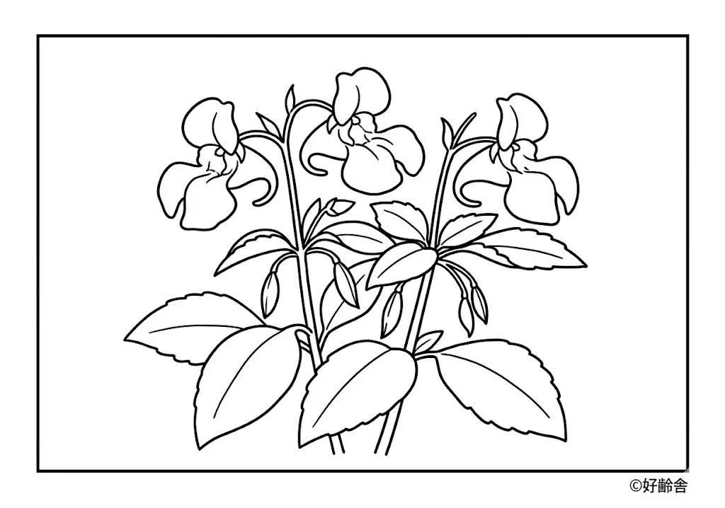 Springkraut