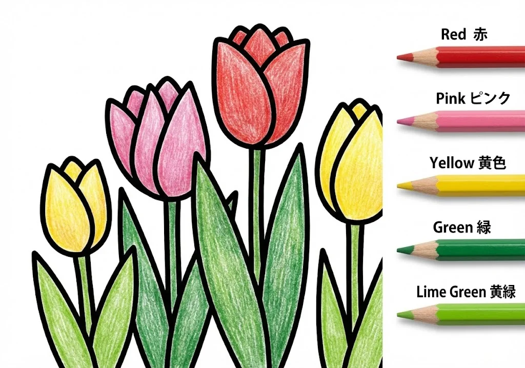 Tulpe — ausgemalt