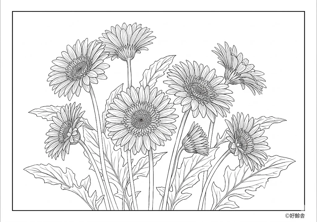 Halaman mewarnai Mewarnai Gerbera (4) gratis untuk manula untuk manula