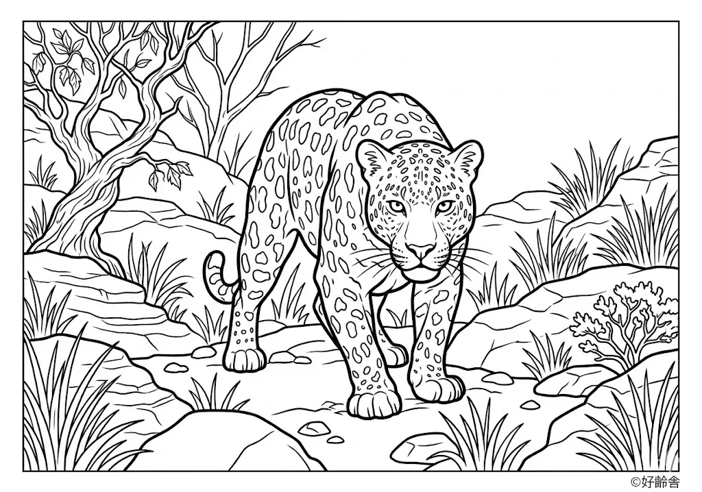 高齢者向け無料塗り絵：木に登るヒョウ（上級・A4印刷用）