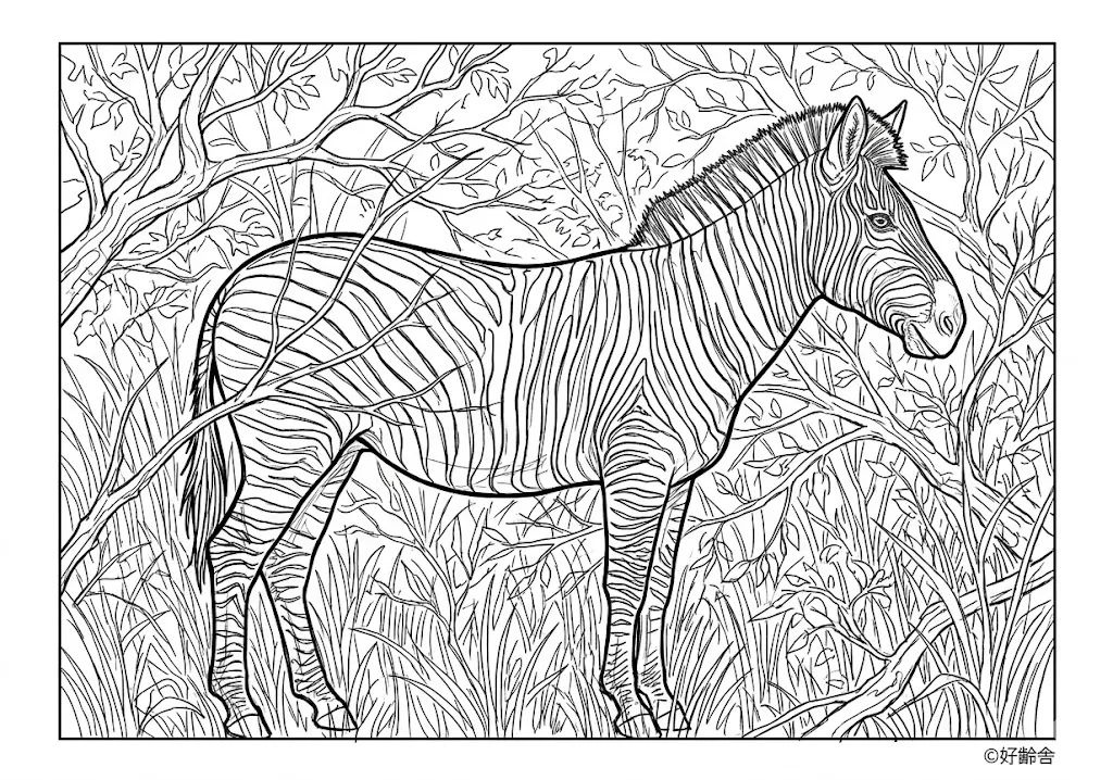 高齢者向け無料塗り絵：特徴的な模様が美しいシマウマ（芸術家・A4印刷用）