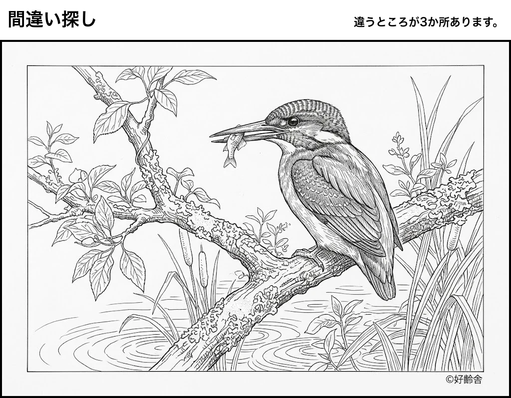 高齢者向け無料間違え探し塗り絵:カワセミ(A4印刷用・脳トレ介護レク)