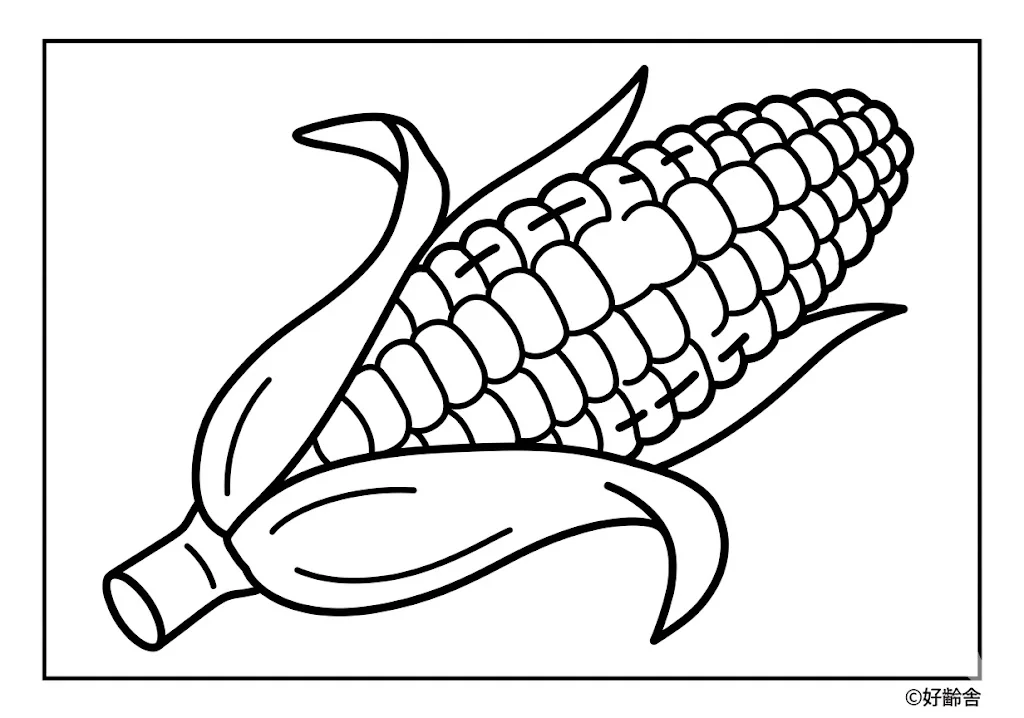 とうもろこしの塗り絵の塗り絵（高齢者向け）