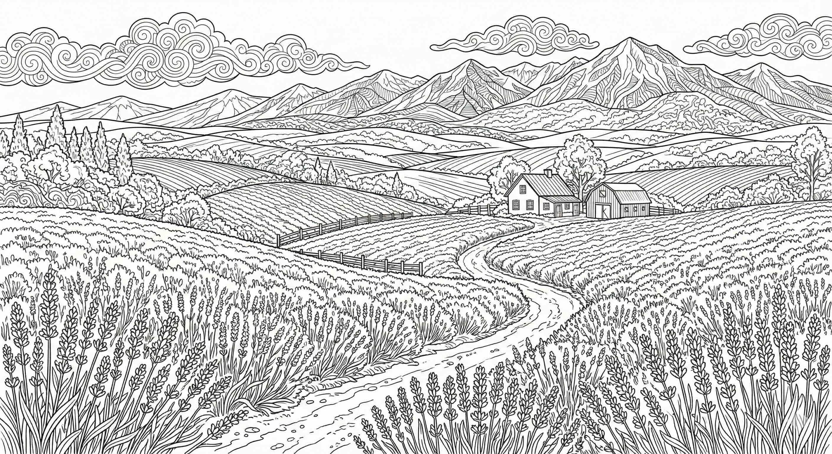 富良野（上級）