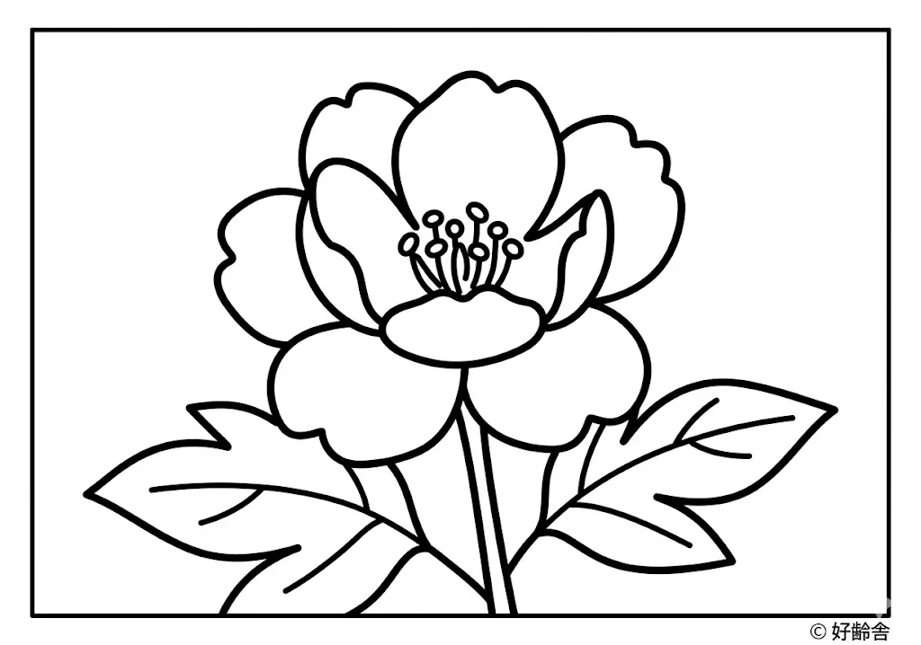 高齢者向け無料塗り絵：百花の王・豪華絢爛な牡丹（初級・A4印刷用）