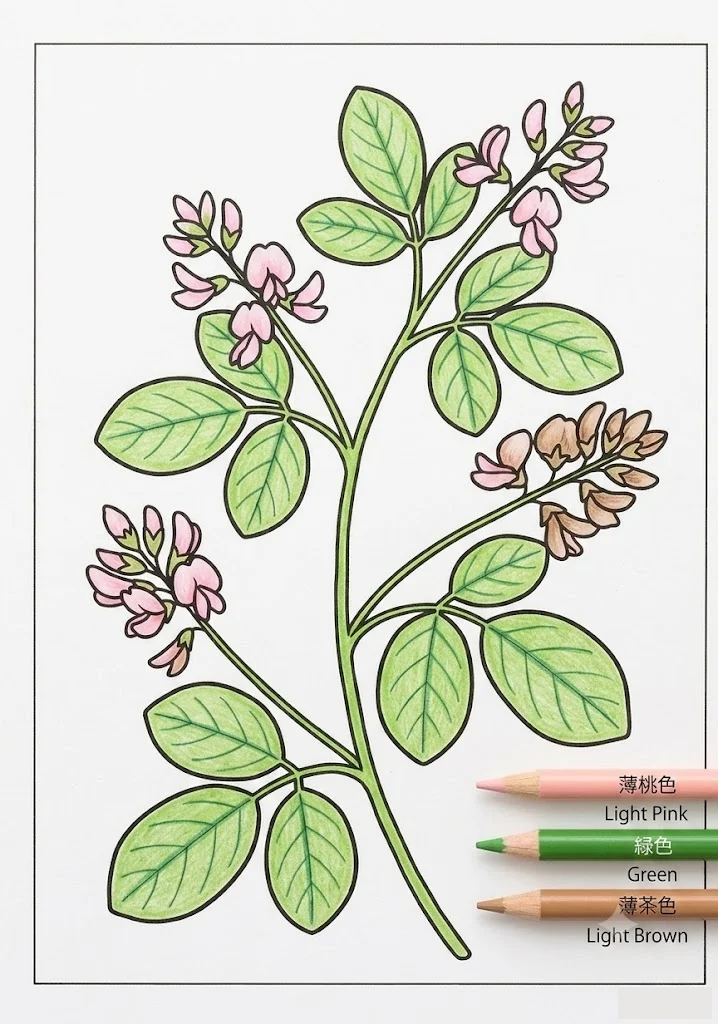 ハギの塗り絵 完成見本（カラーサンプル・高齢者レク用）