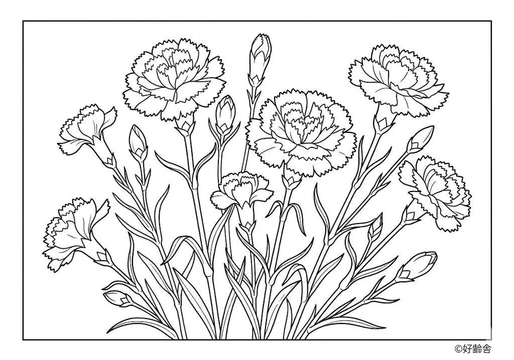 高齢者向け無料塗り絵：母の日でおなじみの華やかなカーネーション（上級・A4印刷用）