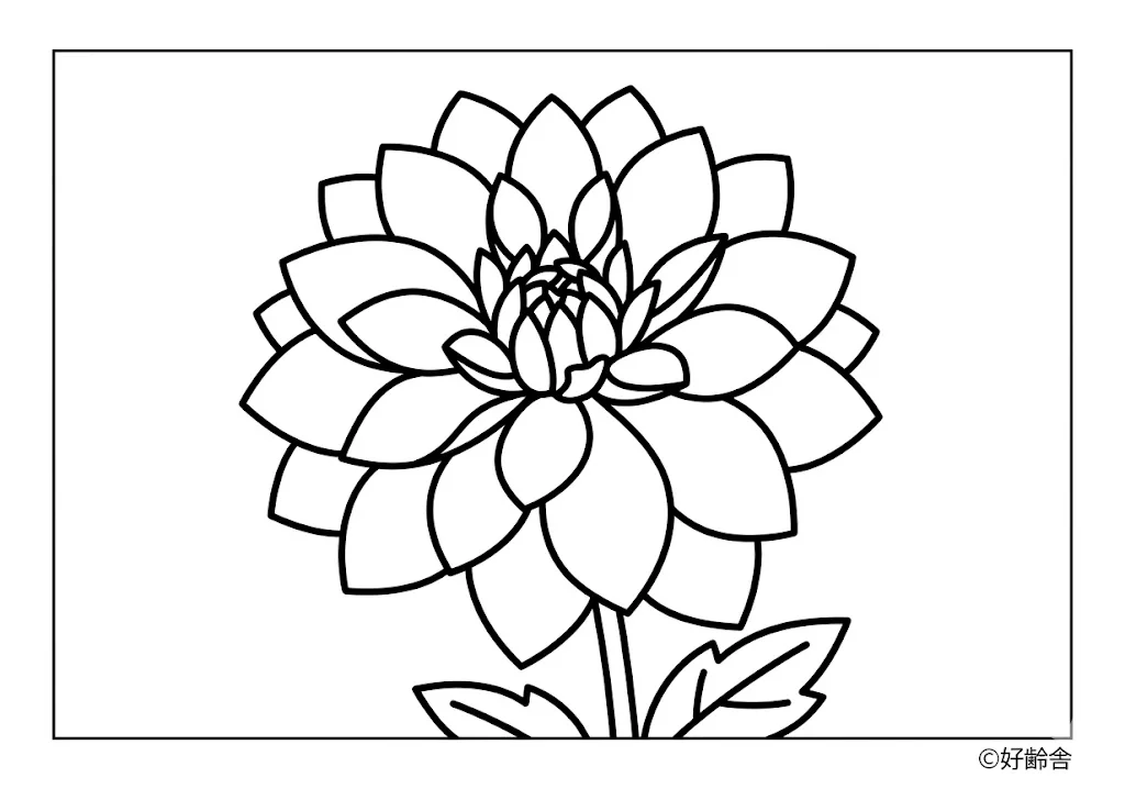 高齢者向け無料塗り絵：ダリア（初級）