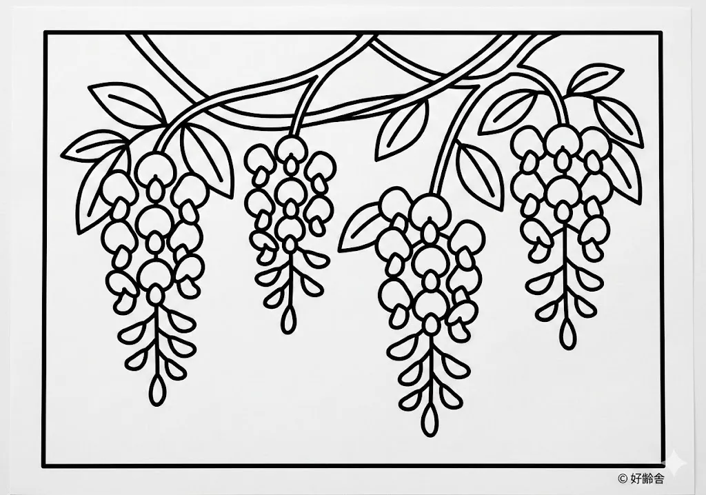 高齢者向け無料塗り絵：紫色の花房が美しく枝垂れる優雅な藤の花（初級・A4印刷用）