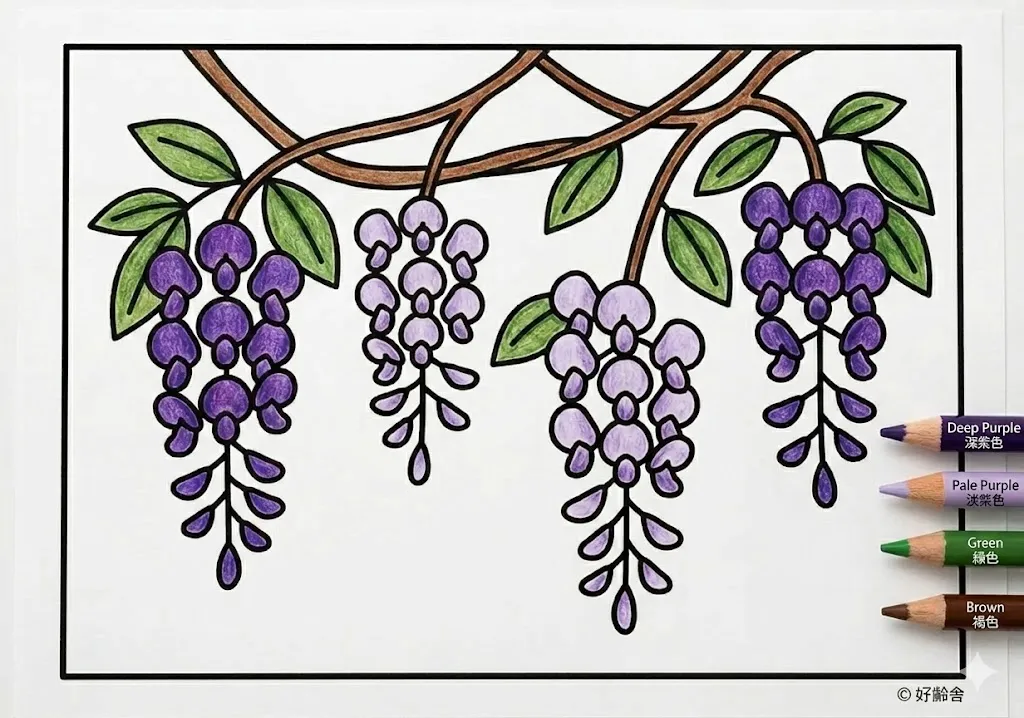 藤の花の塗り絵 完成見本（彩的な見本）